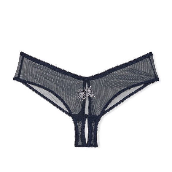 Victoria's Secret Mesh High-Leg Crotchless Cheeky Panty Dark Twilight Small NEW - Picture 4 of 7